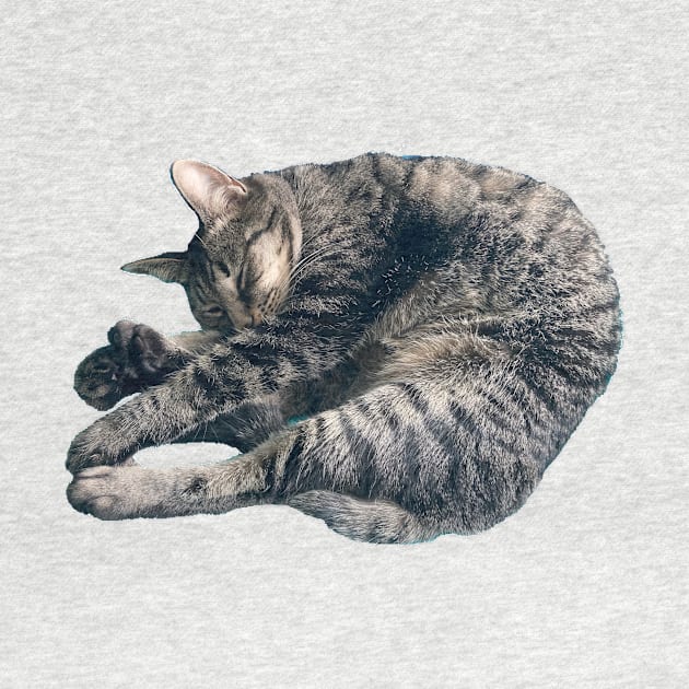 Sleeping Tabby by Amanda1775